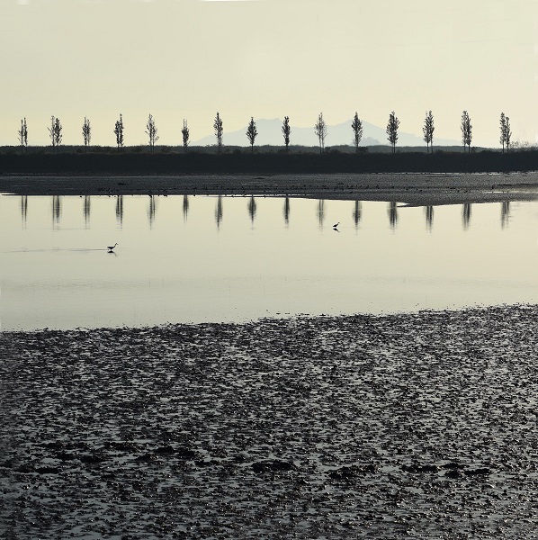 사진작가 김도형의 풍경 '대부도, 2019' (인스타그램: photoly7)