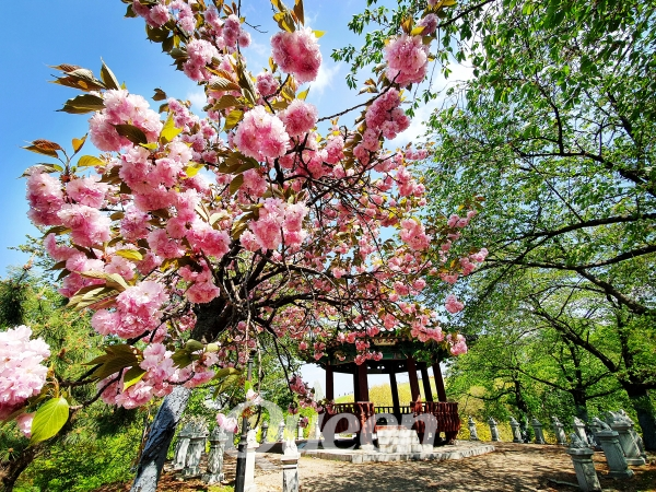 사진_양우영 기자
