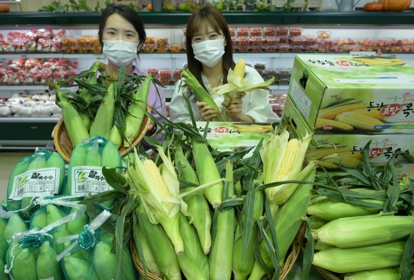 6월 20일 농협 하나로마트 양재점(서울 서초구 소재)에서 모델들이 올해 첫 출하된 ‘찰옥수수’와 ‘초당옥수수’를 소개하고 있다.